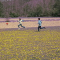 12_lm_2012_052.jpg