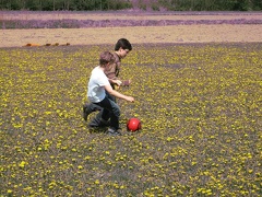 12_lm_2012_054.jpg