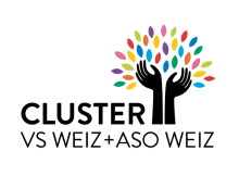 VS Weiz
